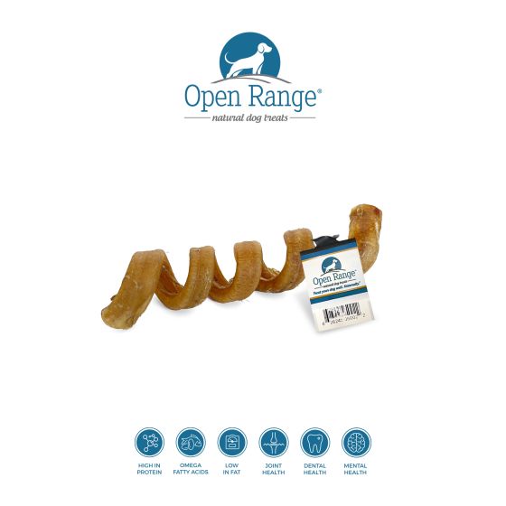 Open Range Water Buffalo Bully Spiral 6"