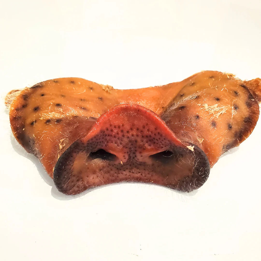 Dehydrated Pig Snout