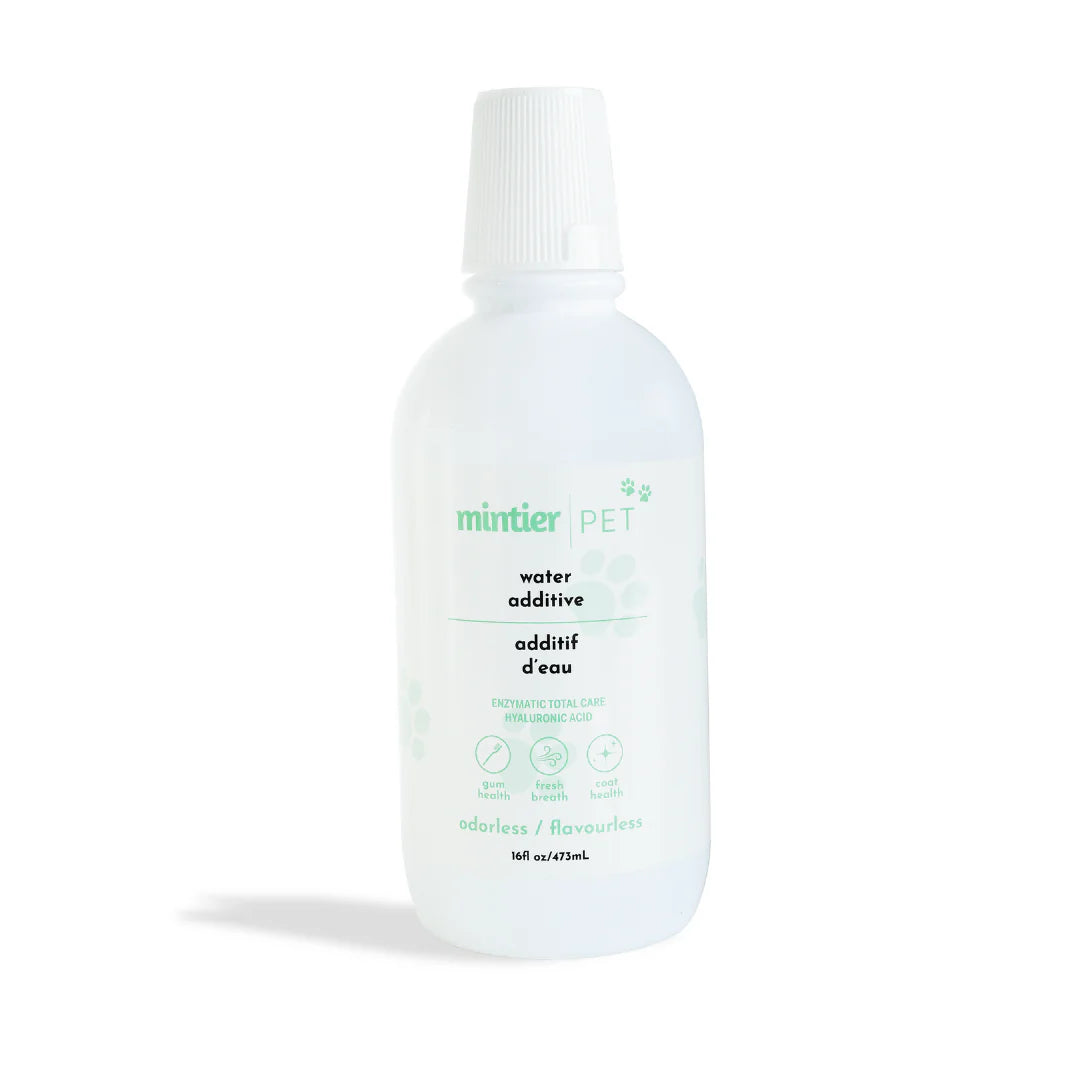 Mintier Pet Water Additive