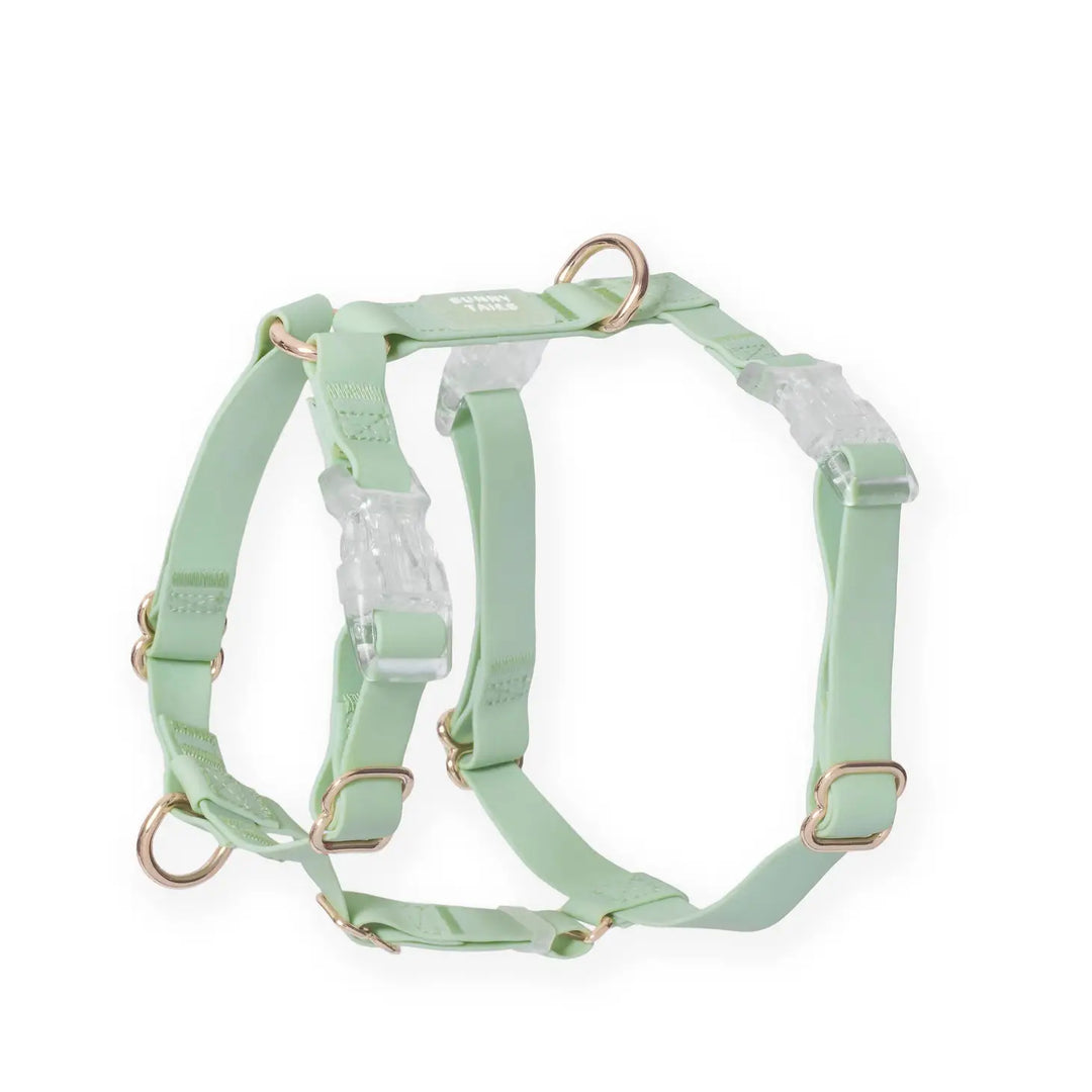 Sunny Tails Pistachio Cloud Lite Dog Harness