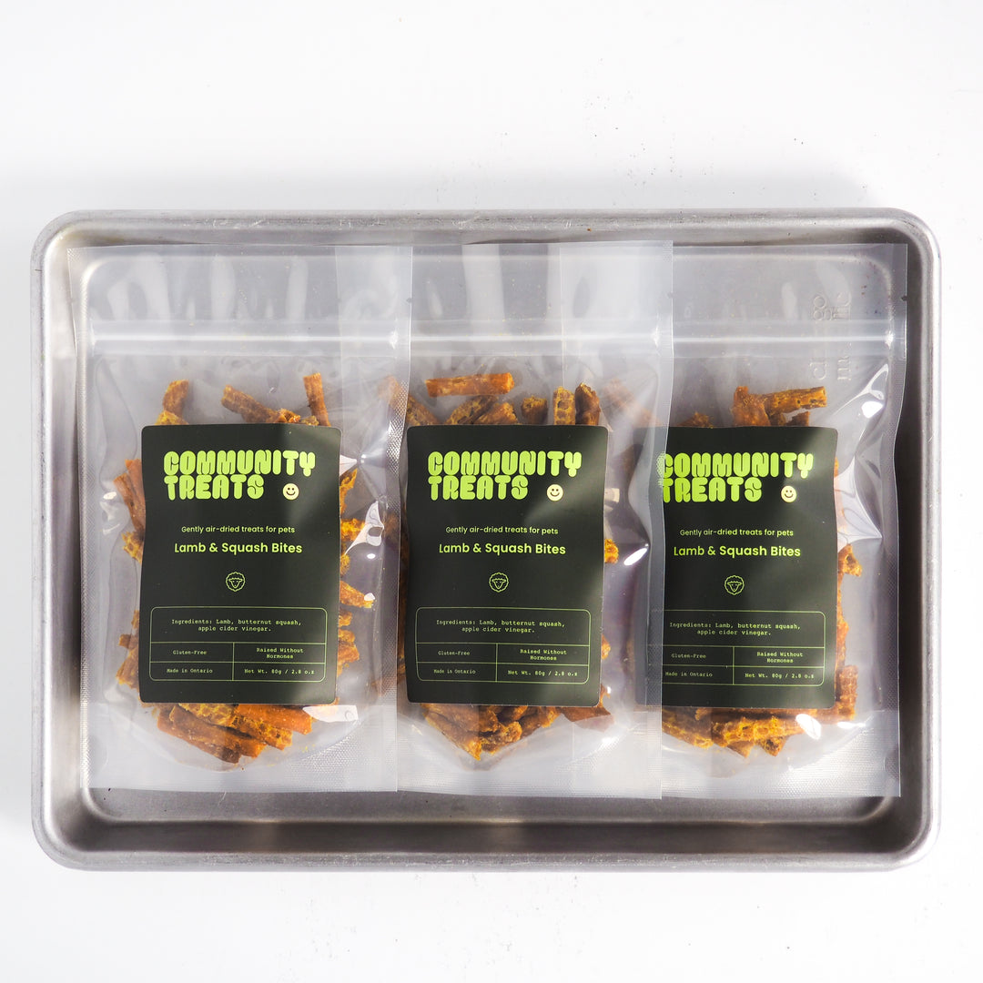 Community Treats Lamb & Squash Bites 80g