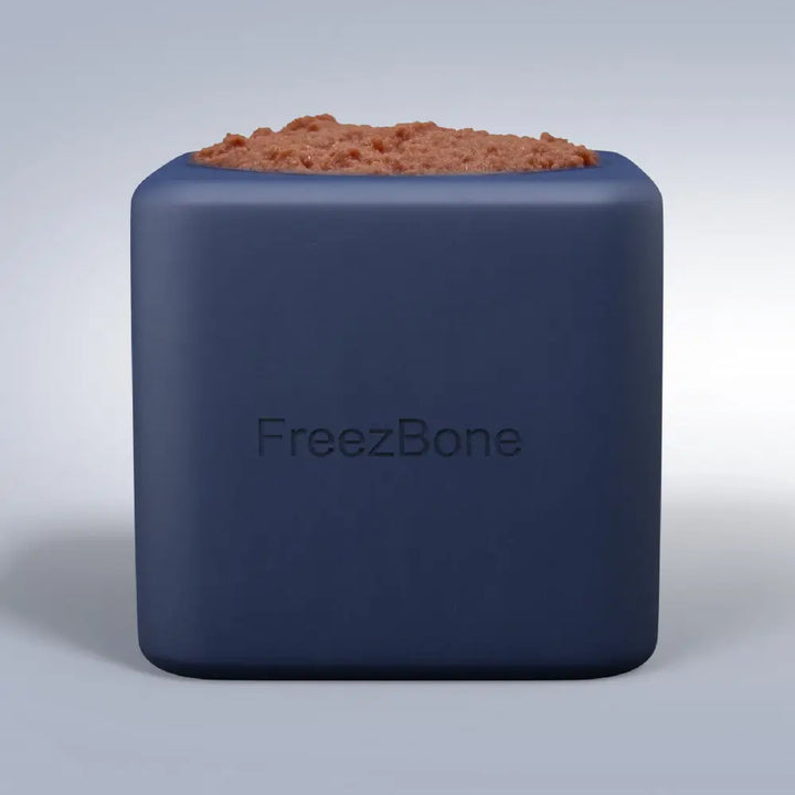 Freezbone Freezbox Enrichment Toy