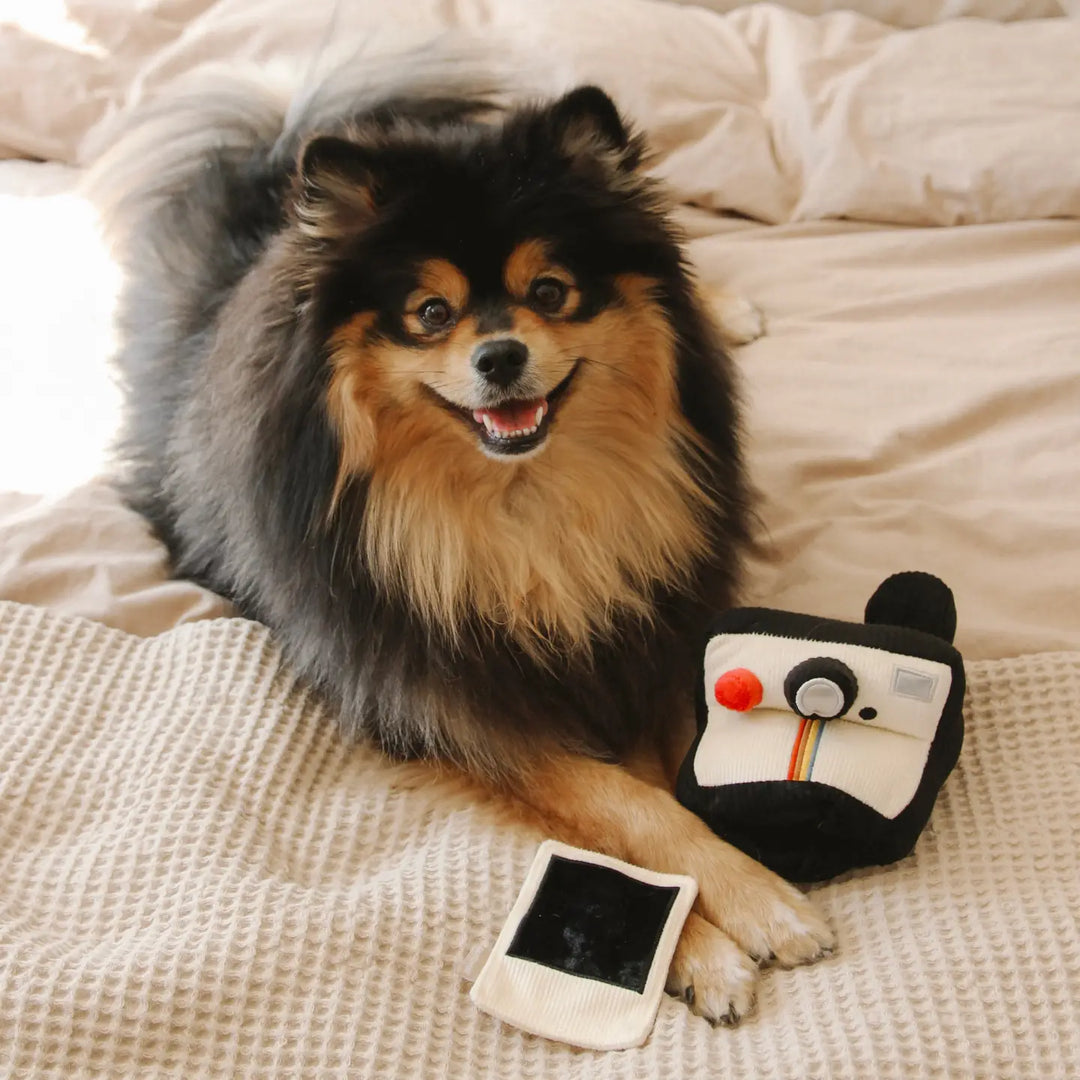 Lambwolf Collective Instant Camera