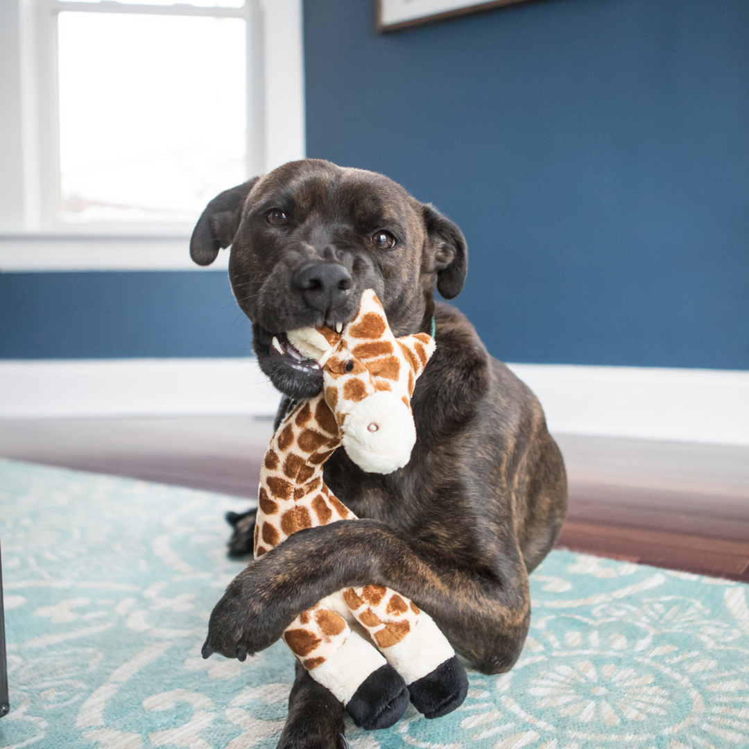 Fluff & Tuff Nelly Giraffe
