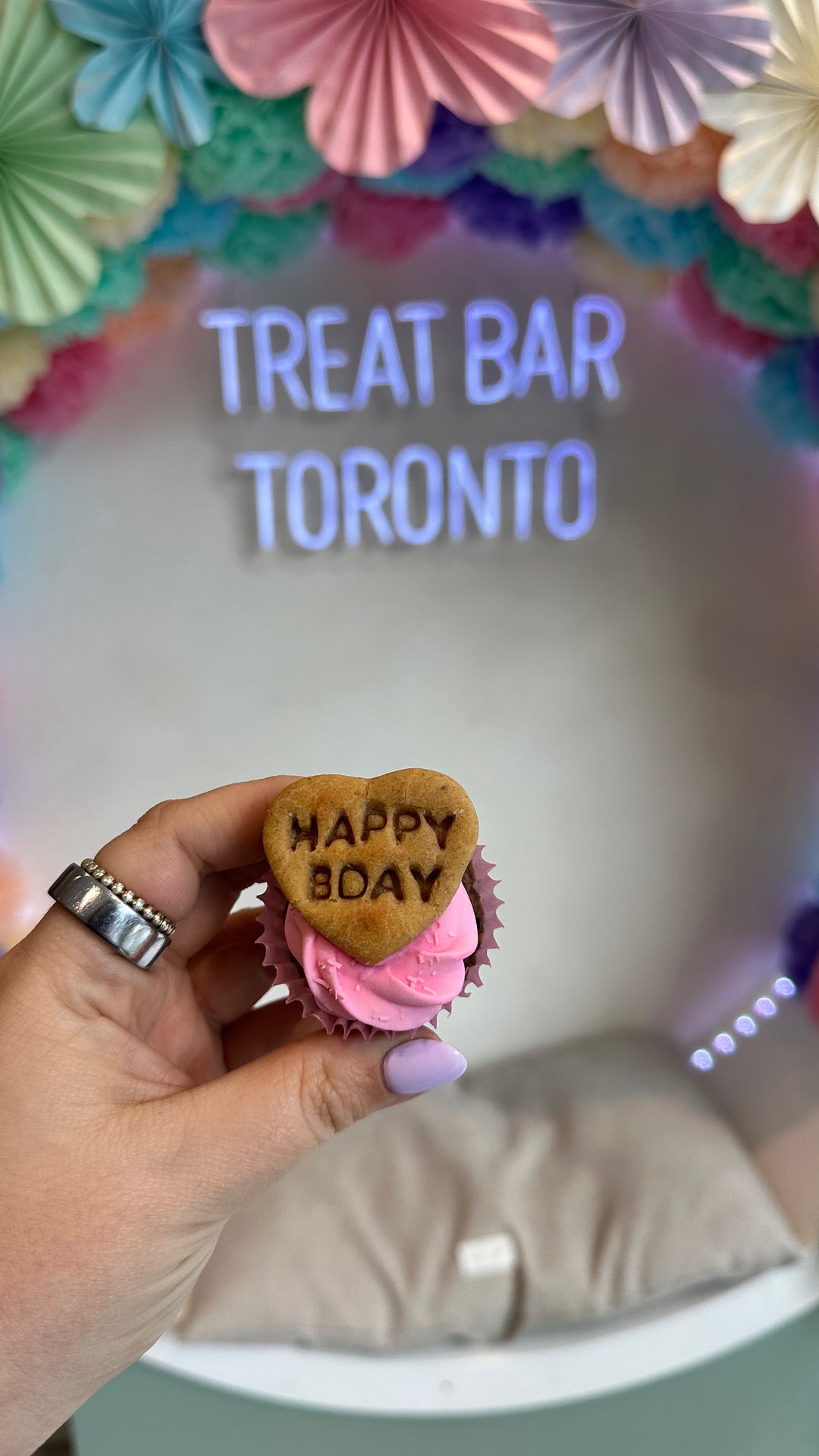 Bake n' Bark Cupcakes
