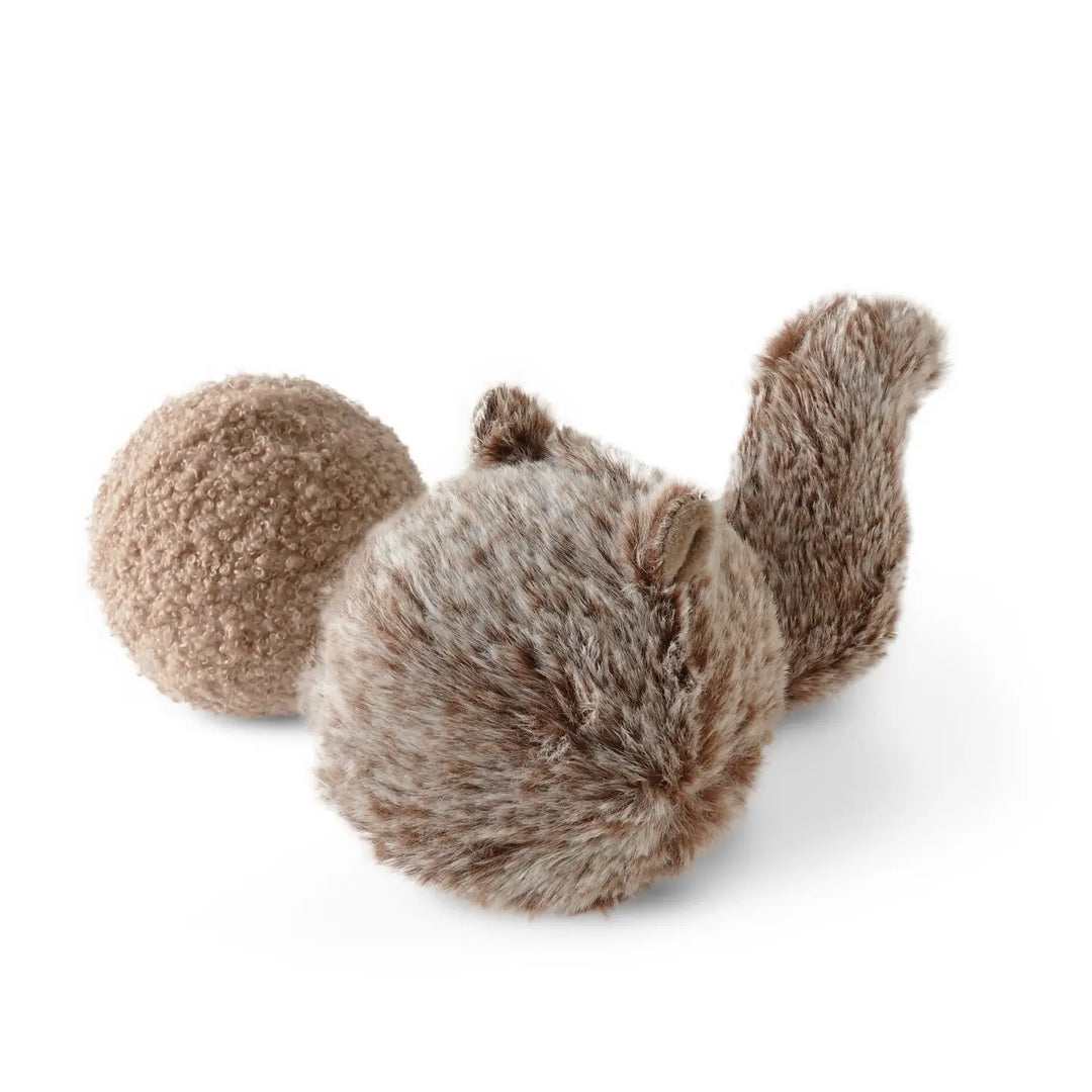 Lambwolf Collective Squirrel Pop