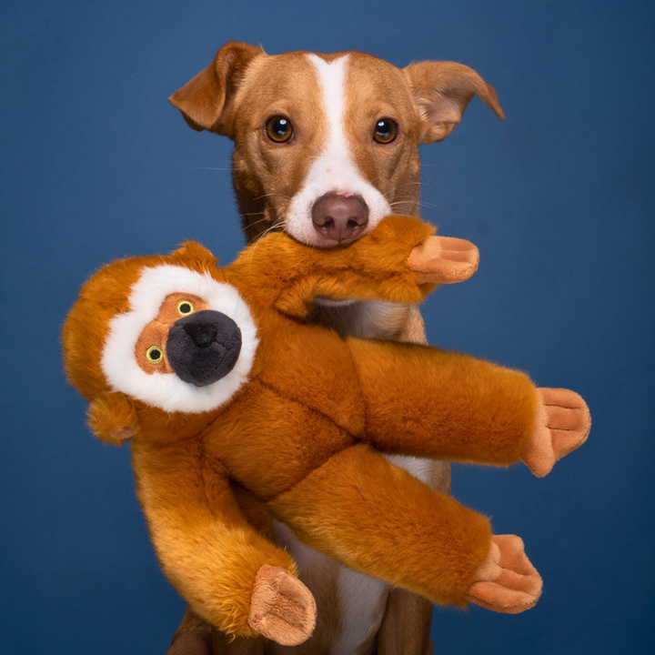 Fluff & Tuff Marcel Monkey