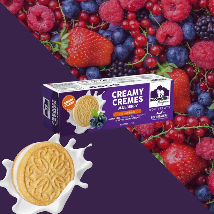 Granville Island Dog Biscuits Grain Free Creamy Cremes Blueberry