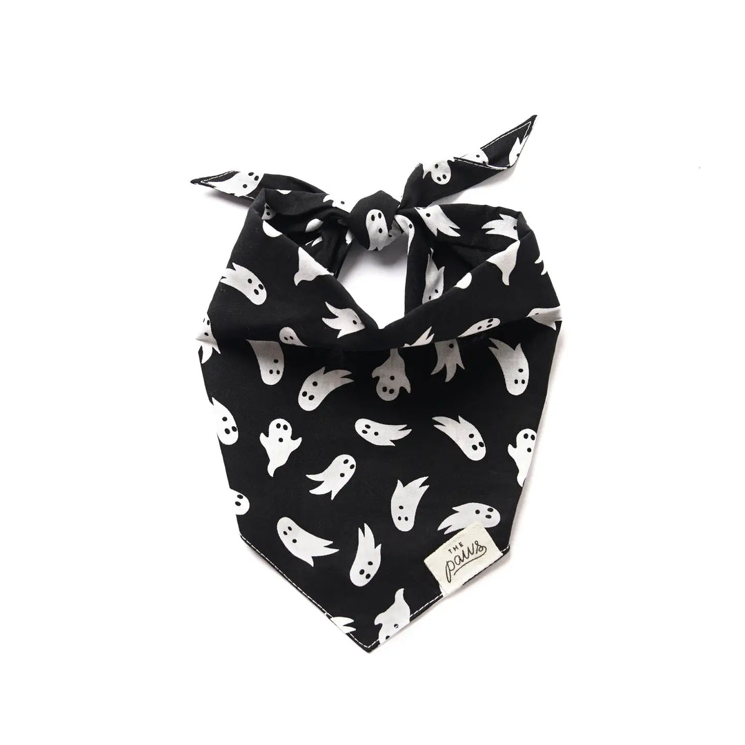 The Paws Shadow Halloween Dog Bandana