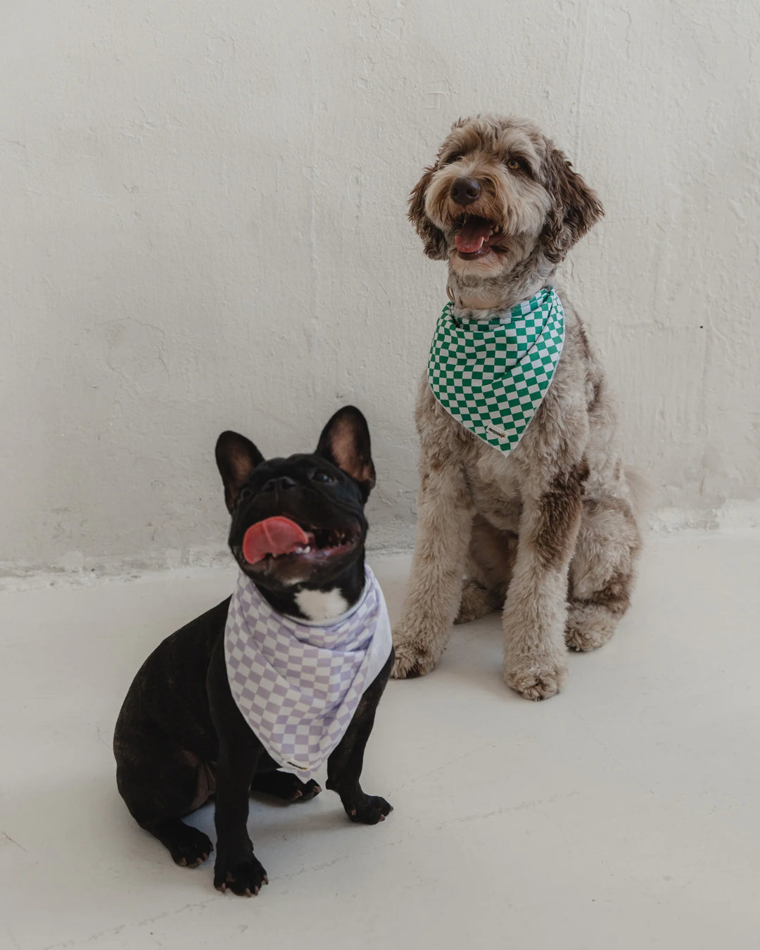 Dexypaws Purple Checkered Cooling Bandana