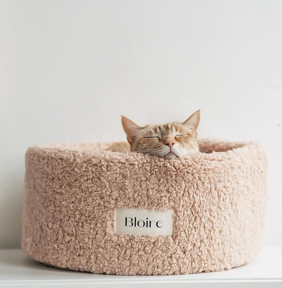 Bloire Sherpa Cat Bed