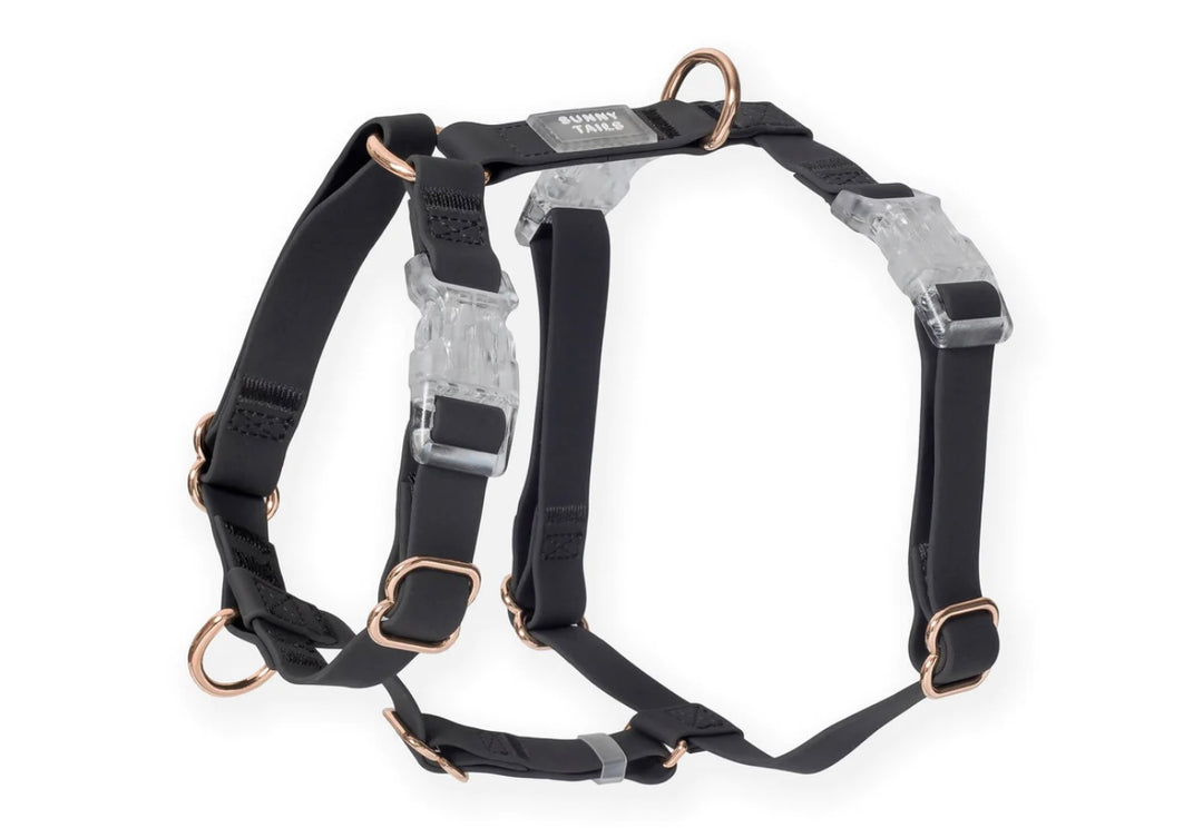 Sunny Tails Ember Black Cloud Lite Dog Harness