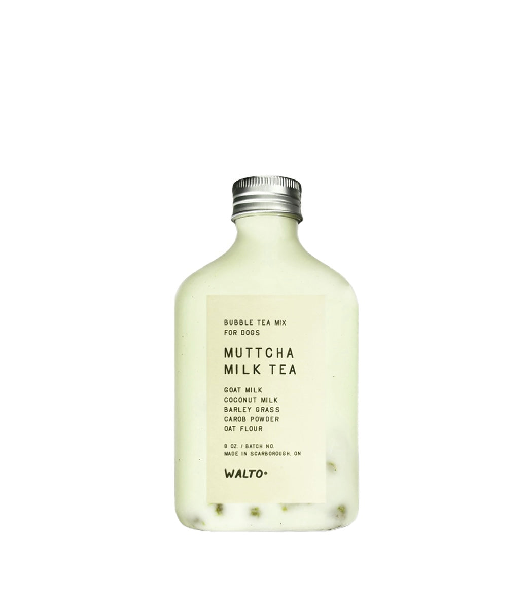 Walto Muttcha Milk Tea For Dogs