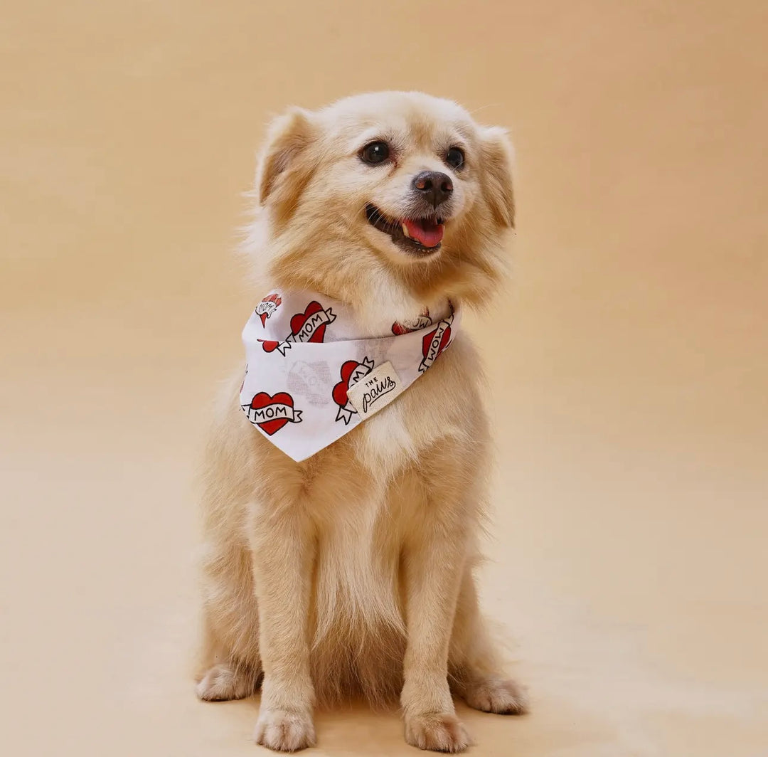 The Paws Love Mom Dog Bandana