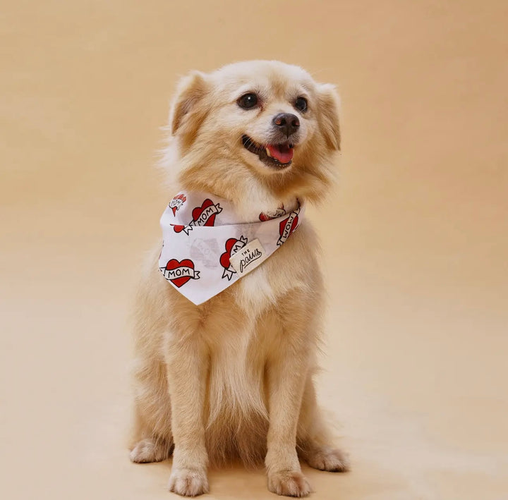 The Paws Love Mom Dog Bandana