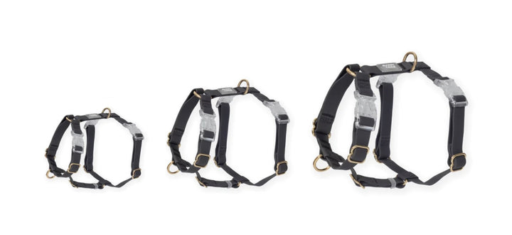 Sunny Tails Ember Black Cloud Lite Dog Harness