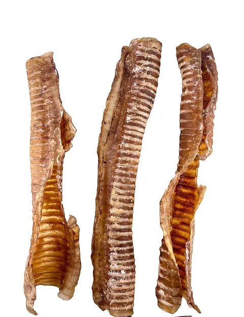 Dehydrated Split Lamb Trachea