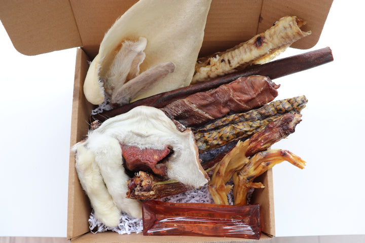 The Body Parts Box