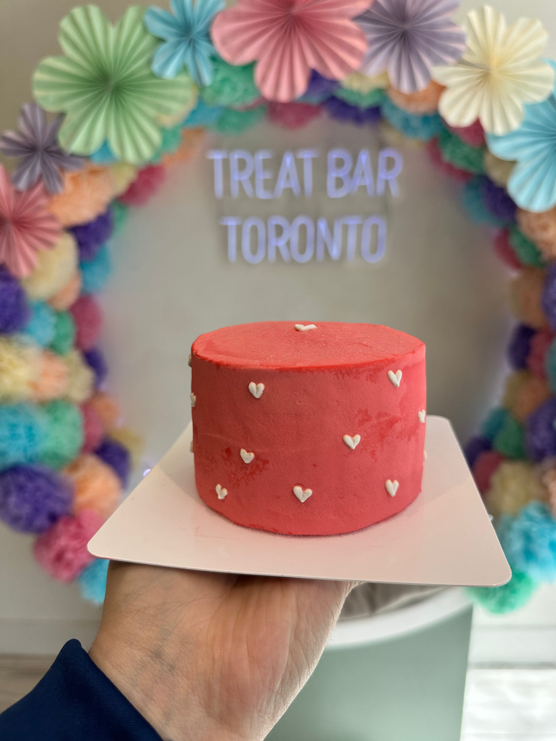 Bake N' Bark Dog Birthday Cakes