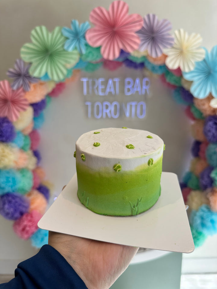 Bake N' Bark Dog Birthday Cakes