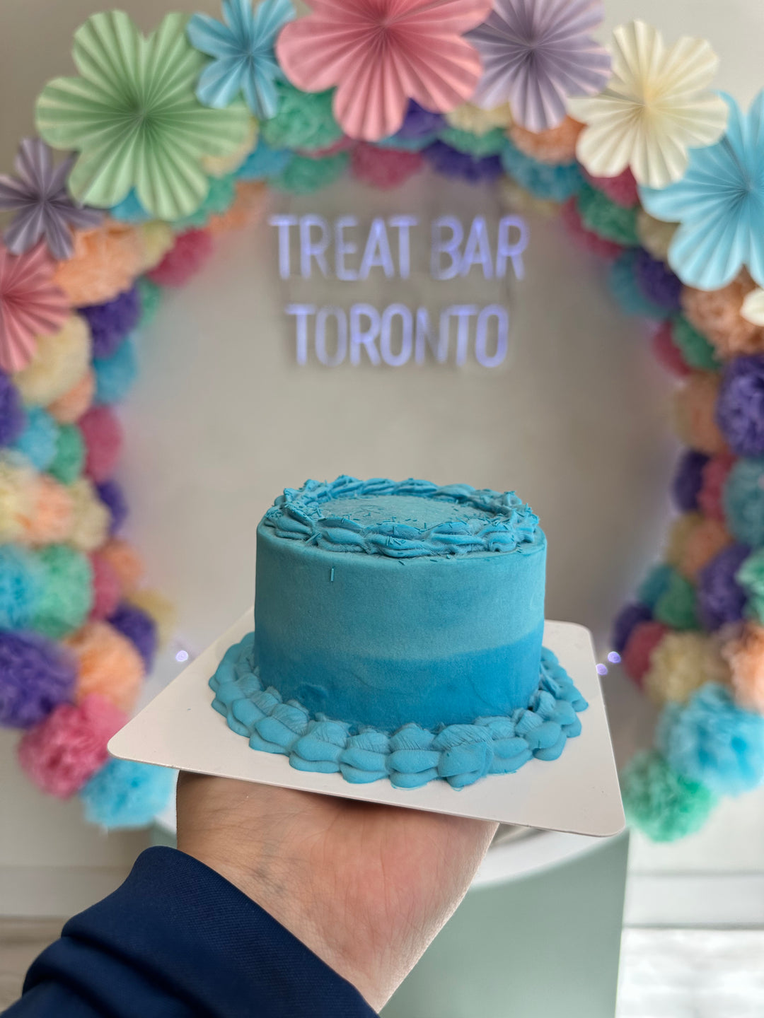 Bake N' Bark Dog Birthday Cakes