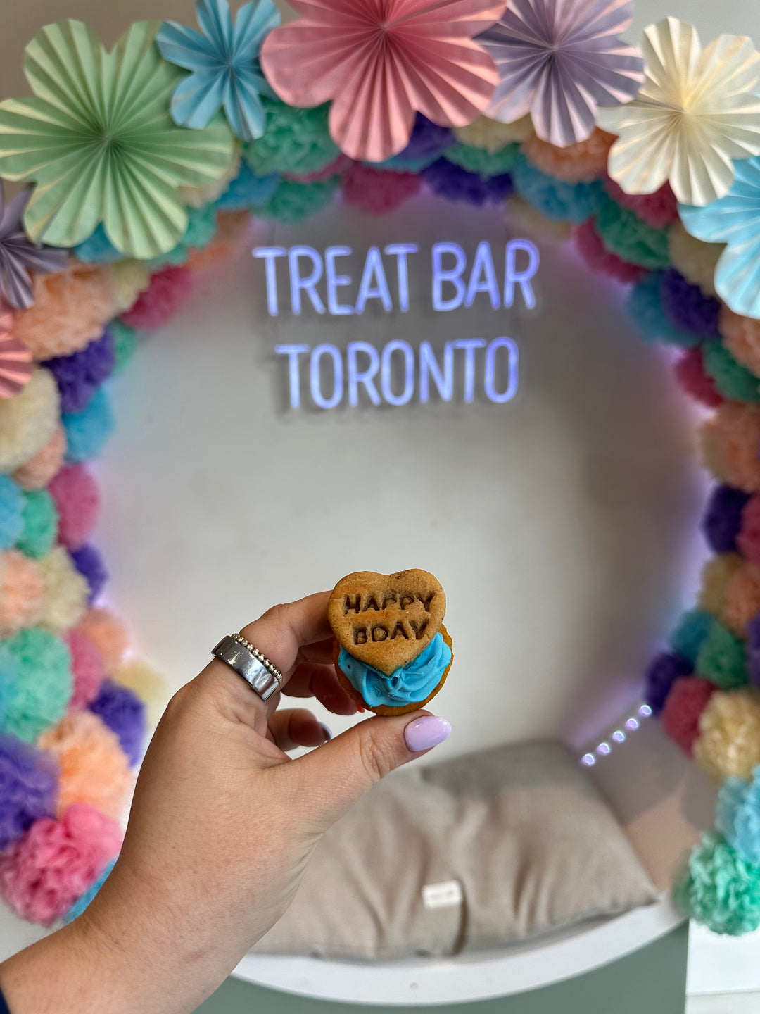 Bake n' Bark Cupcakes