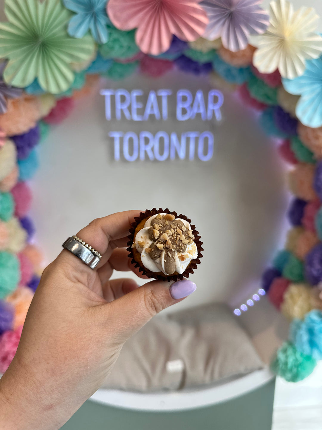 Bake n' Bark Cupcakes