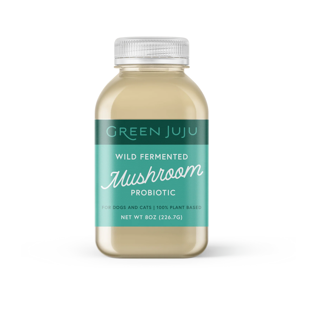 Green Juju Wild Fermented Mushroom Probiotic 28g