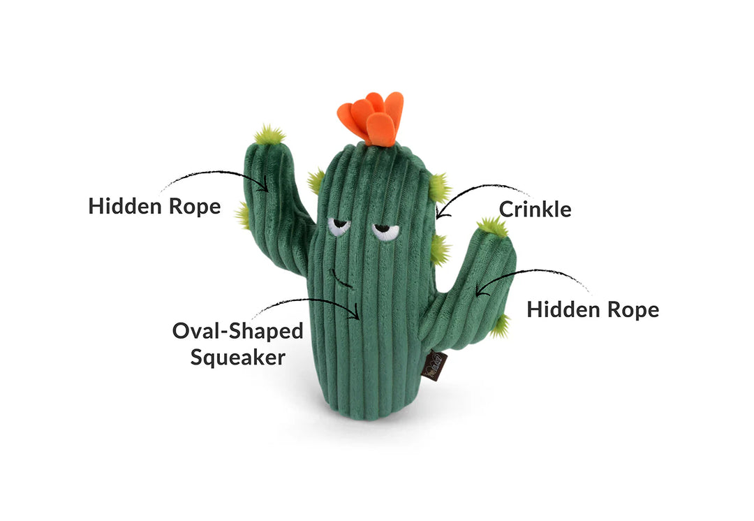 PET P.L.A.Y – Plush Blooming Buddies Collection – Prickly Pup Cactus