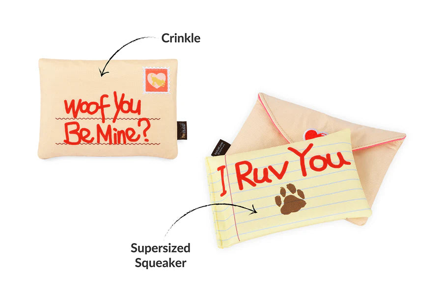 PET P.L.A.Y Love Bug Ruv Letter