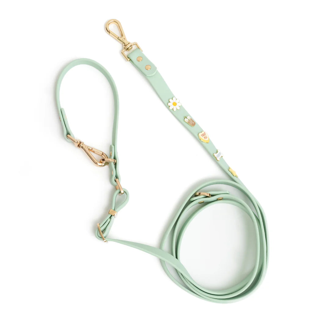 Furei Moodies 4-in-1 Leash