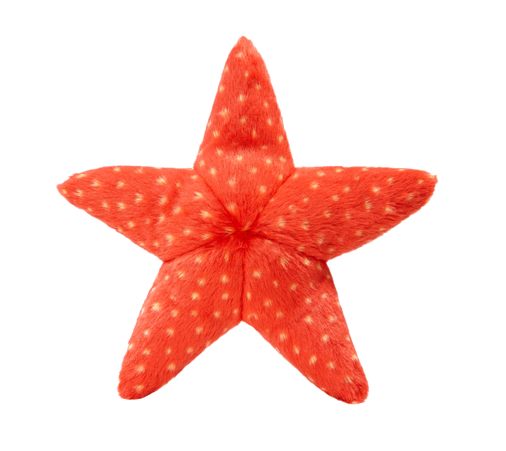 Fluff & Tuff Ziggy Starfish