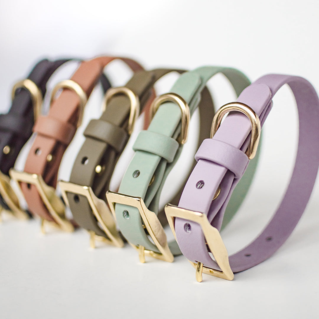 Wanderlust Pup Biothane Collar Lavender