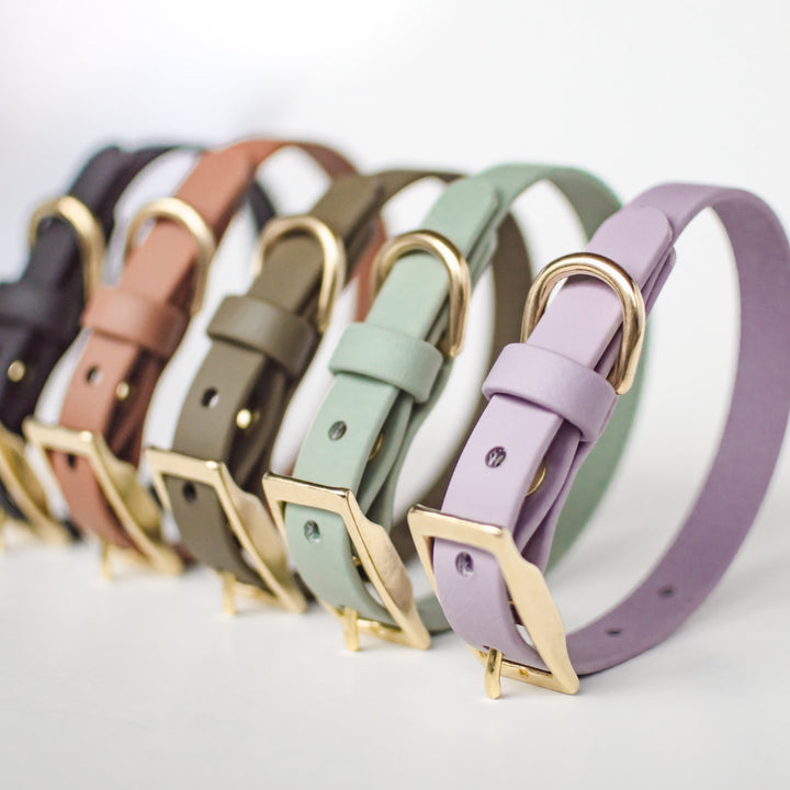 Wanderlust Pup Biothane Collar Lavender