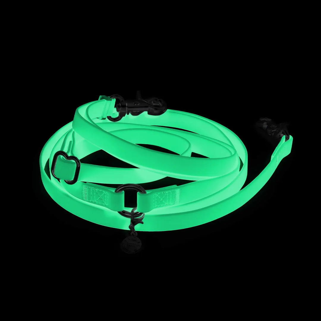 Sunny Tails Waterproof 4-in-1 Convertible Leash Lunar Glow