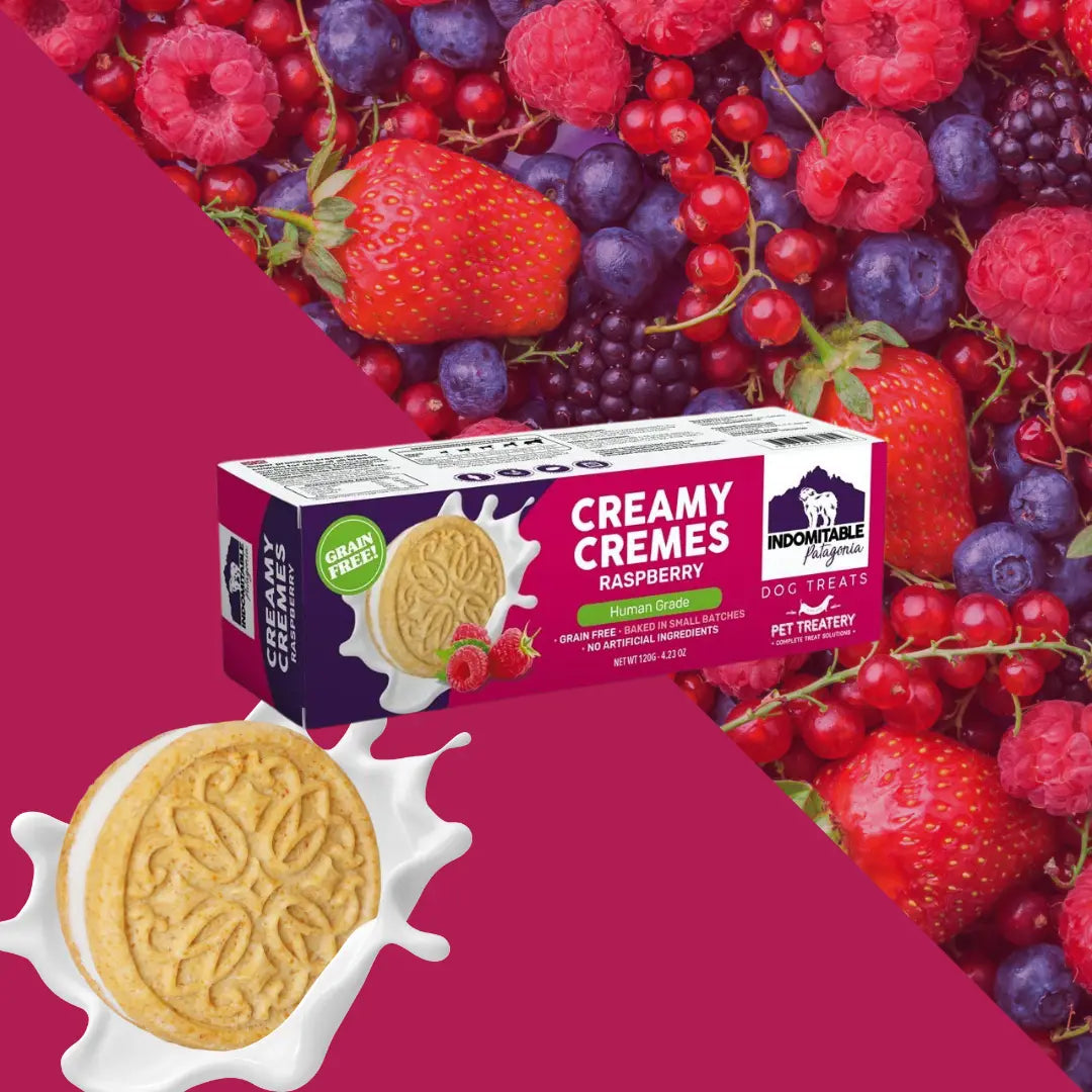 Granville Island Dog Biscuits Grain Free Creamy Cremes Raspberry