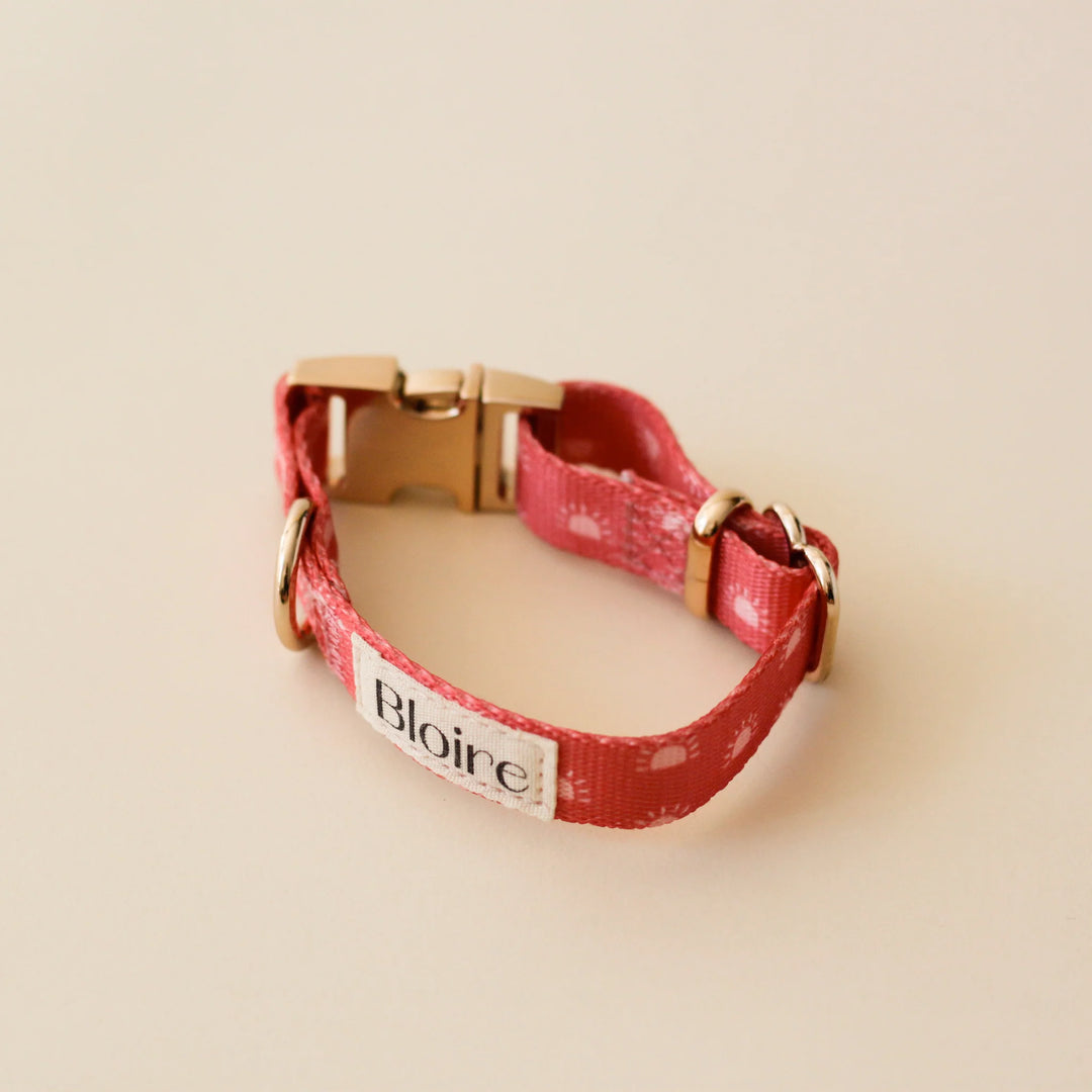 Bloire Cat Collar Bright Sign