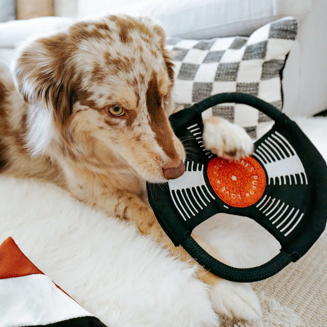 Lambwolf Collective Bark to Beat