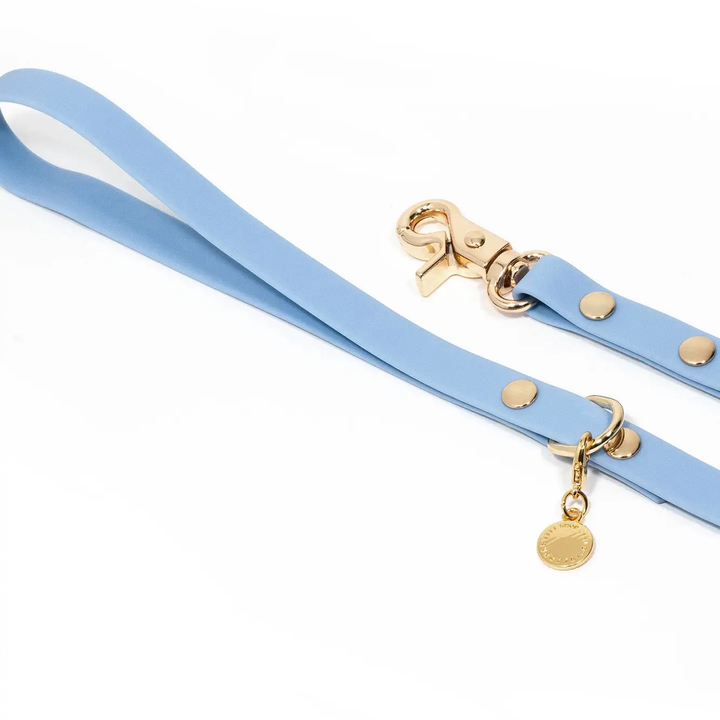 Sunny Tails Waterproof Leash Malibu