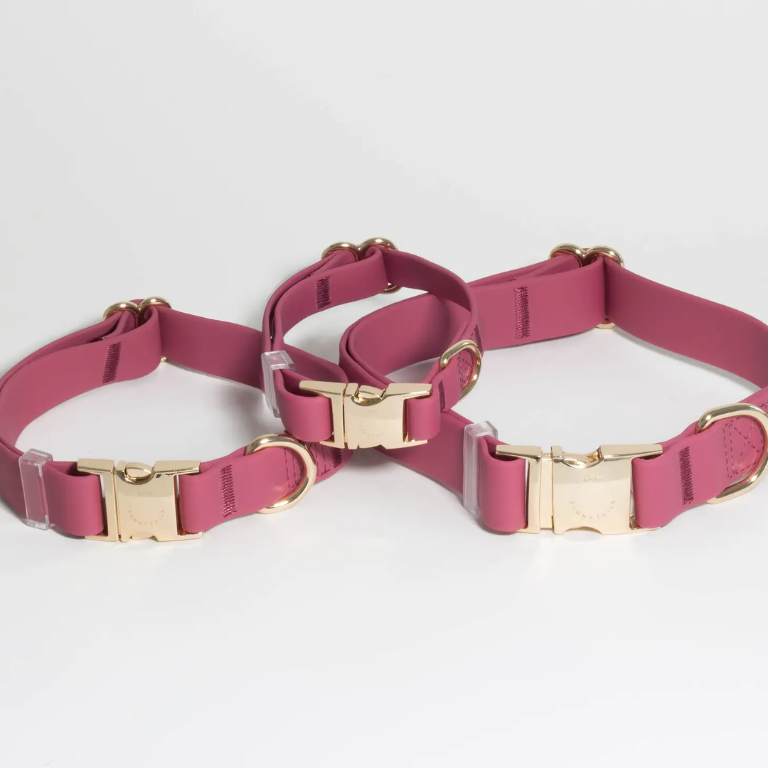 Sunny Tails Waterproof Dog Collar Burgundy