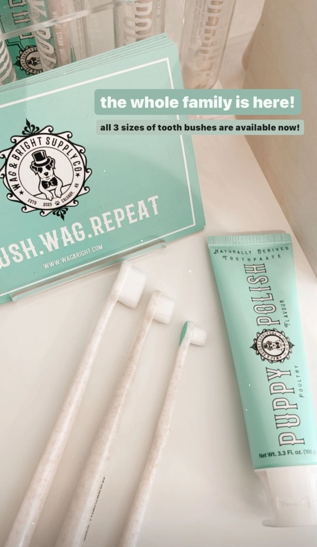 Wag & Bright Supply Co. Puppy Polisher Pearl Eco Toothbrush