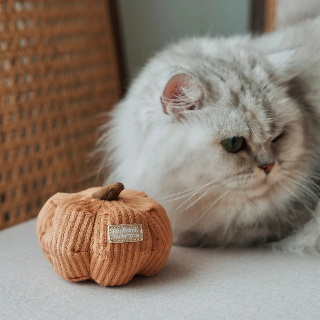 Lambwolf Collective Kitty Pumpkin