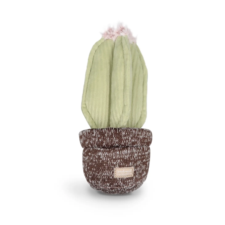 Lambwolf Collective Cactus