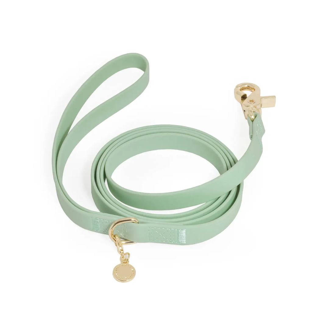 Sunny Tails Waterproof Leash Pistachio