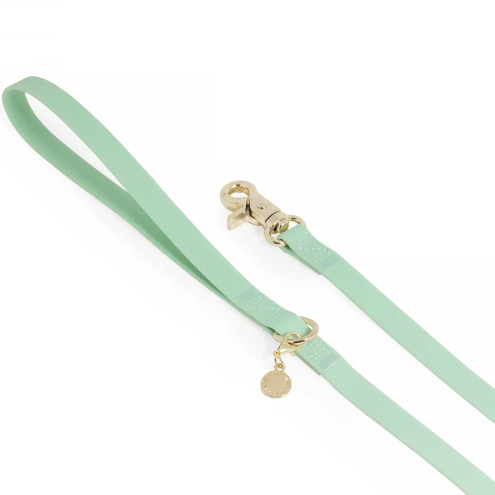 Sunny Tails Waterproof Leash Pistachio