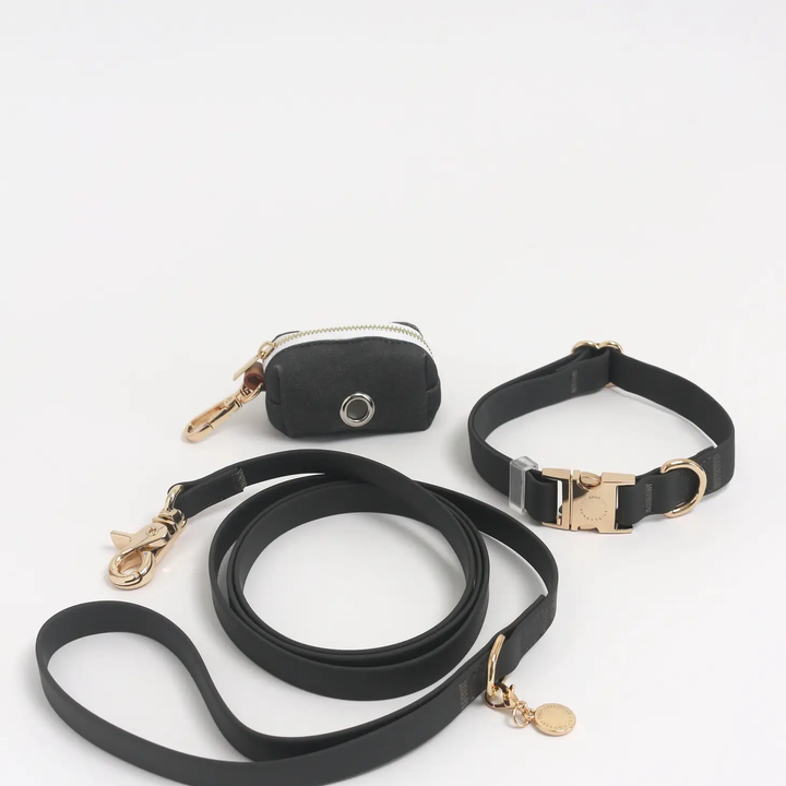 Sunny Tails Waterproof Leash Ember