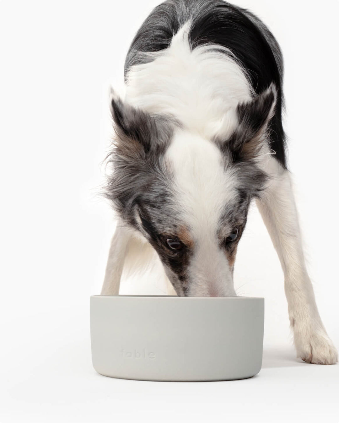 Fable Pet Bowl - Medium/Large / Mineral Grey