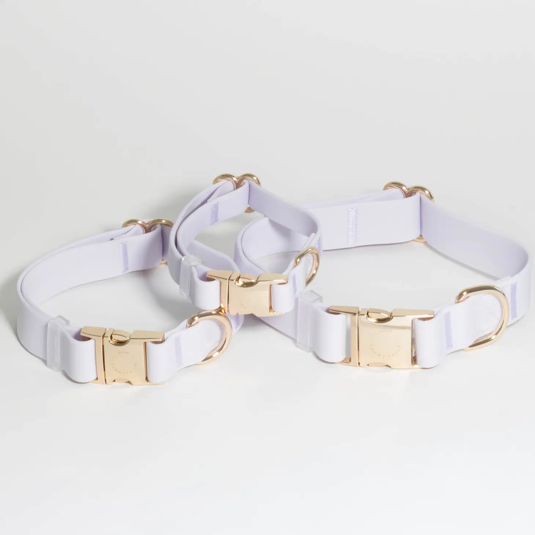 Sunny Tails Waterproof Collar Lavender