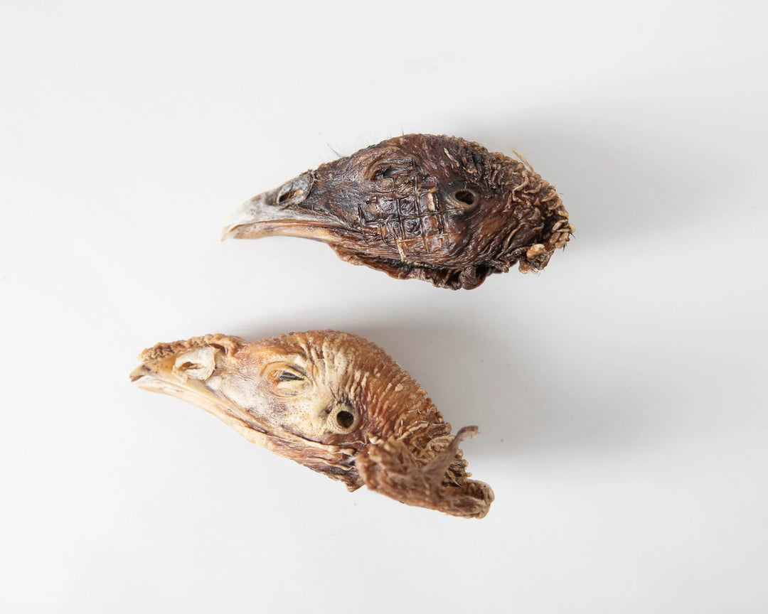 Dehydrated Turkey Head
