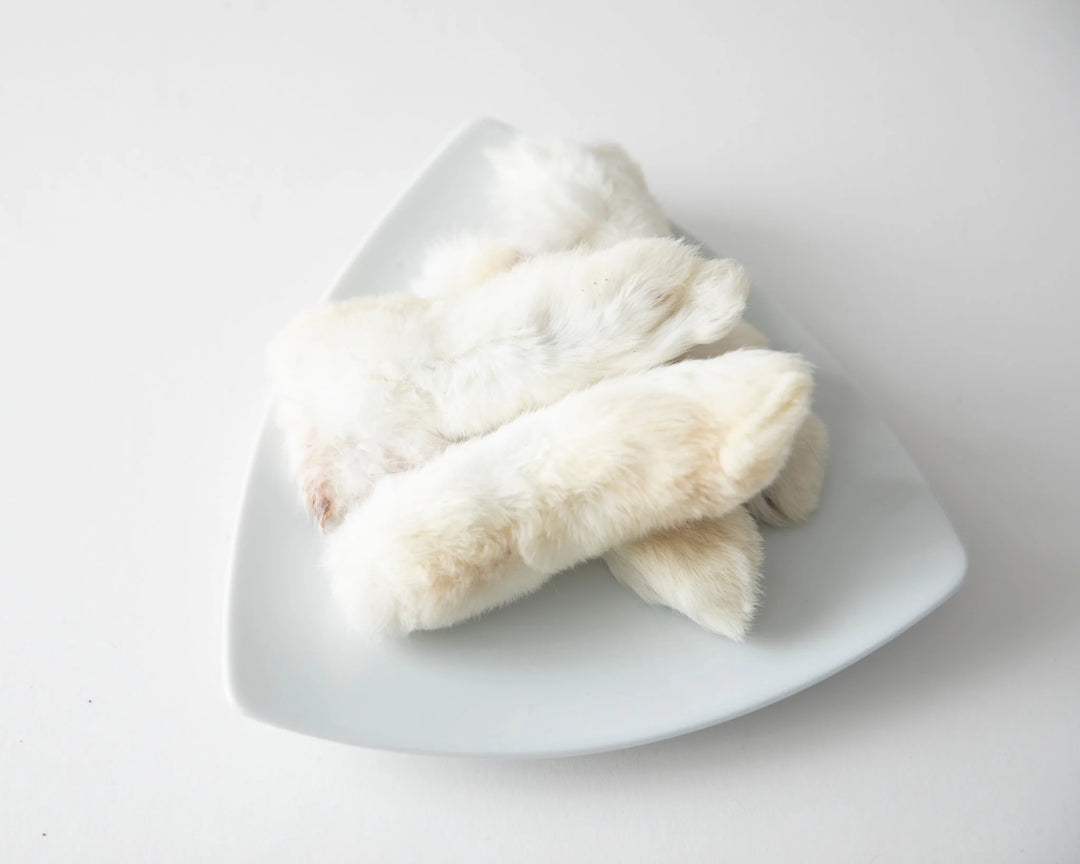 Rabbit Feet with Fur